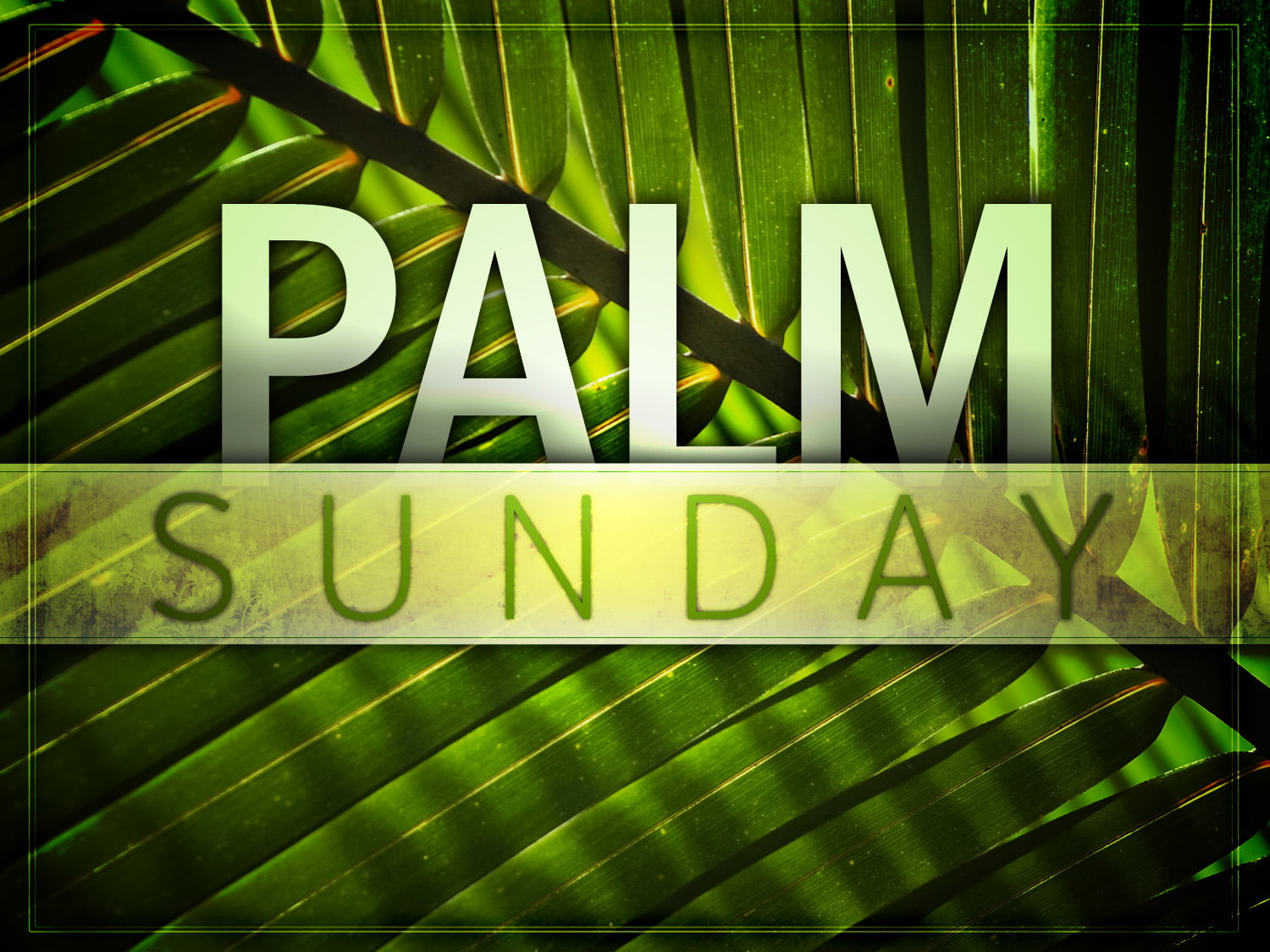 Happy Palm Sunday whatsapp Dp fb profile cover hd wallpaper