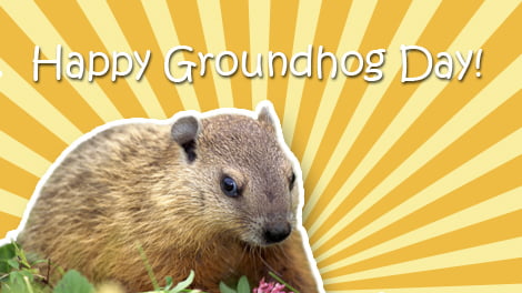 2nd Feb 2016 Happy Groundhog Day Quotes Images Wishes Whatsapp Status