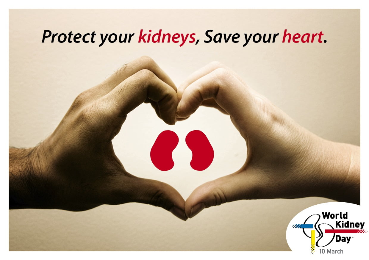 World Kidney Day 2016 : Quotes History Wiki Slogans Posters Images