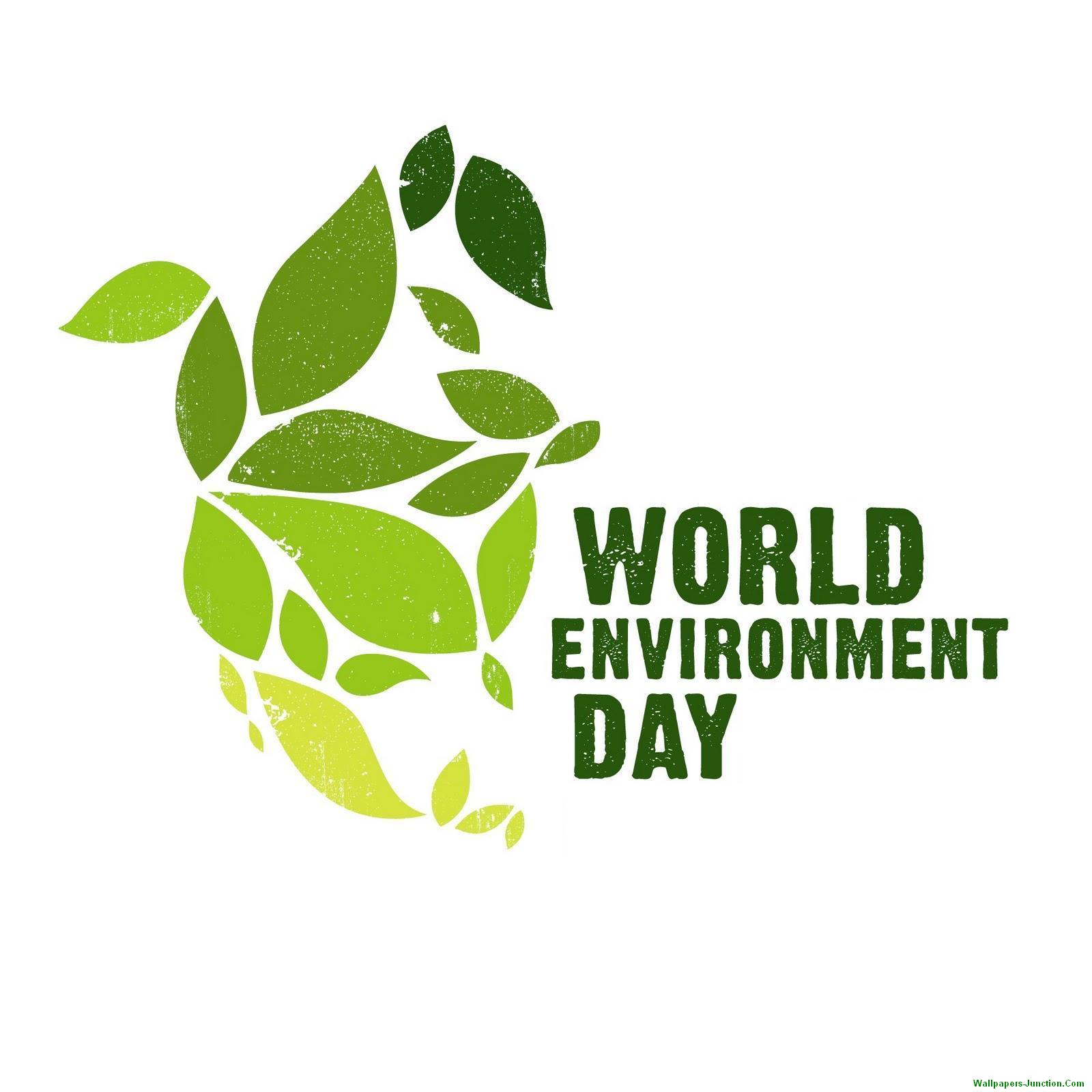 happy world environment day 2016 quotes