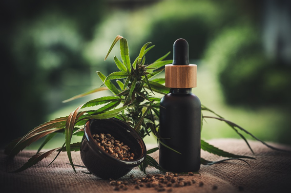 CBD Oil in Your Daily Life
