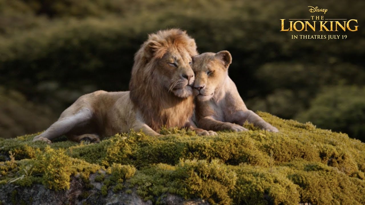 The Lion King Full Movie Leaked Online For Free Download Hd