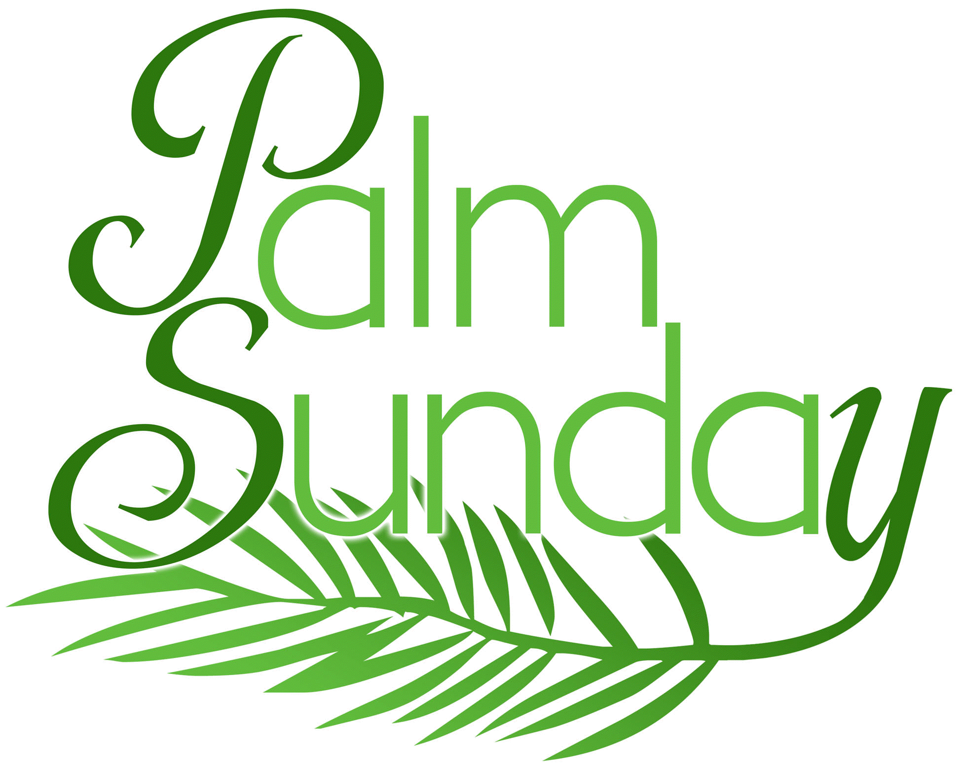 Happy Palm Sunday 2020 Whatsapp Status Dp fb Profile Cover Hd Wallpapers Images