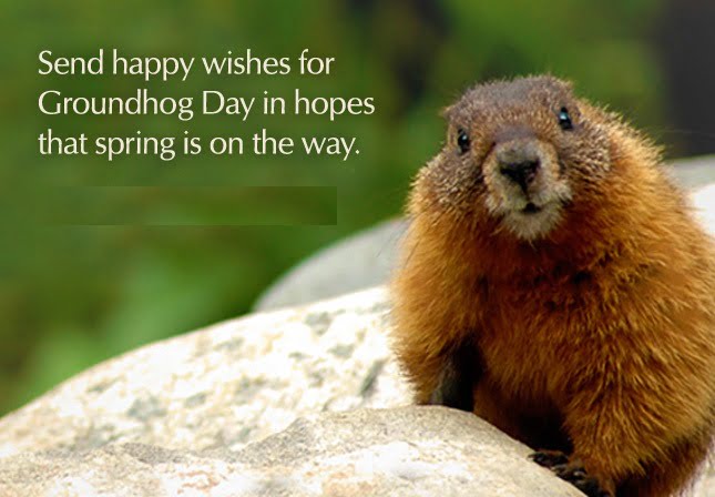 2nd Feb 2019 Happy Groundhog Day Quotes Images Wishes Whatsapp Status