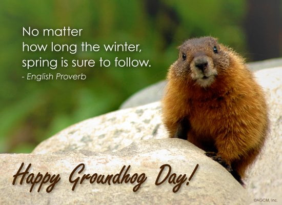 2nd Feb 2019 Happy Groundhog Day Quotes Images Wishes Whatsapp Status