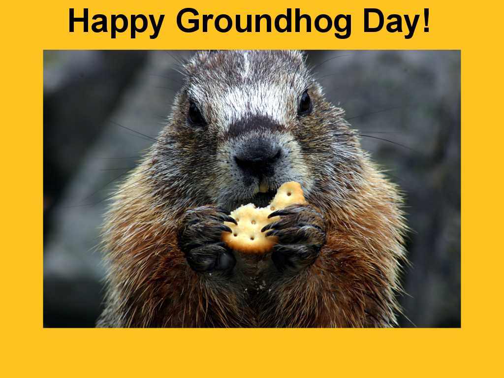 2nd-feb-2019-happy-groundhog-day-quotes-images-wishes-whatsapp-status
