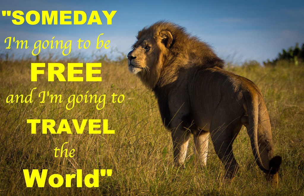 World Wildlife Day 2020: Inspiring Quotes Slogan Themes Sayings Pictures