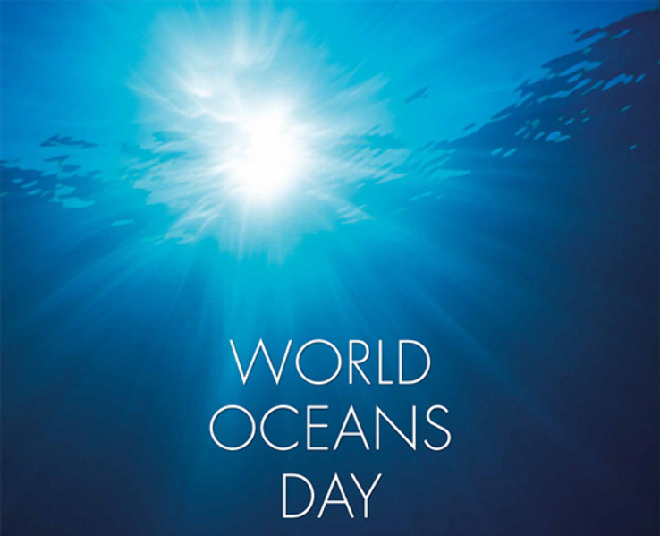 World Oceans Day 2020 Quotes, Sayings, Facts, Poster, Slogan, Images