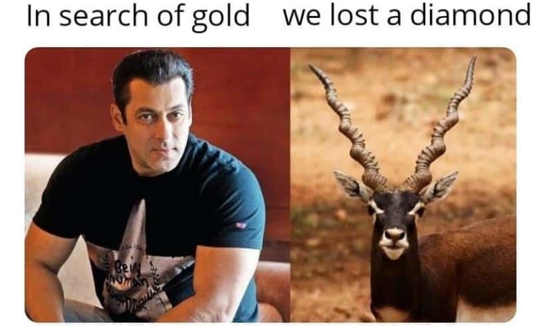 “In Search of Gold, We Lost Diamond” Meme Joke Trend On Twitter Posters